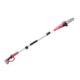 Drujba electrica pentru crengi, 20V Li-ion, cu acumulator 2 Ah, incarcator, maner telescopic, Worcraft