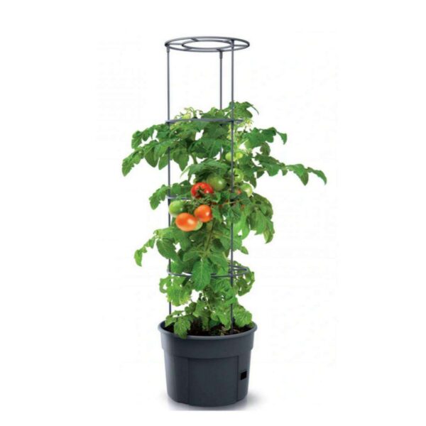Ghiveci cu suport tip sera pentru rosii, 21 piese, 29.5x24.5x1152cm, Prosperplast - imagine 1