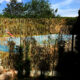 Gard/paravan din trestie, 5x1.5 m - imagine 5