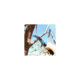 Fierastrau pentru crengi, cu maner telescopic 3.6 m, Aquacraft - imagine 6
