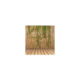 Gard/paravan din bambus natural, 5x2 m - imagine 3