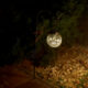 Lampa solara pentru gradina, 20 LED-uri, 75 cm, Rigel - imagine 4