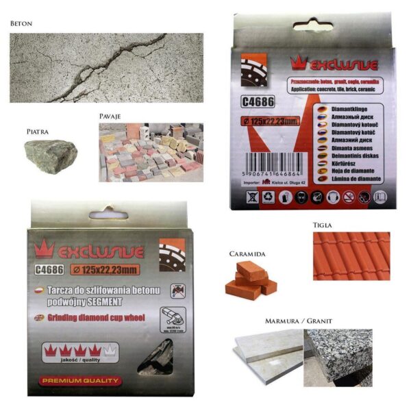Disc diamantat dublu segmentat, beton, slefuire uscata, 125 mm/22.23 mm, Richmann Exclusive - imagine 2