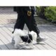 Lesa pentru caini, automata, cu blocare, max 50 kg, 8 m, Purlov - imagine 3