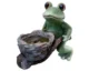 Decoratiune gradina, ceramica, broasca cu roaba, 31.5x20x34 cm - imagine 6