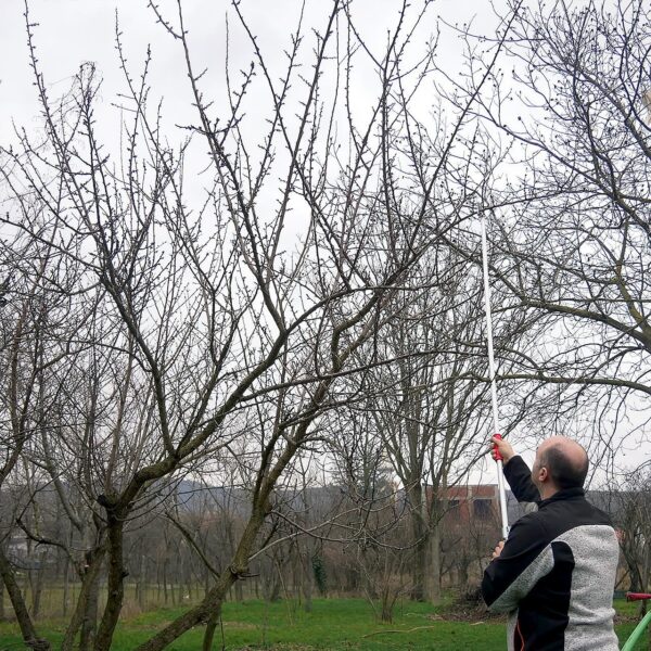 Foarfeca crengi, tip bypass, maner lung, 210 cm, Strend Pro  - imagine 3