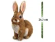 Decoratiune gradina, polirasina, iepure, 15.5x18.5x26.3 cm - imagine 9