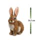 Decoratiune gradina, polirasina, iepure, 15.5x18.5x26.3 cm - imagine 5