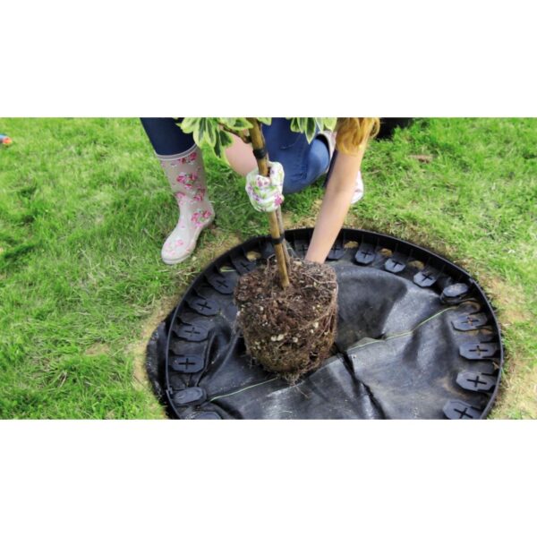 Bordura pentru gazon, plastic, 24 cuie tip harpon, 4.8 m - imagine 5