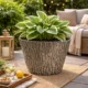 Ghiveci decorativ gradina model scoarta copac 38cm - imagine 4