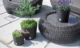 Ghiveci decorativ de flori, Prosperplast, Rato, imitatie ratan, rotund, maro inchis, 30x27 cm - imagine 5