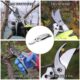 Foarfeca gradina, tip bypass, otel SK5 + manusi latex, 22 cm, XTline - imagine 4