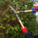 Foarfeca gard viu, arbusti, tip bypass, lama teflonata, 59 cm, Richmann Exclusive - imagine 2