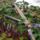 Foarfeca gard viu, arbusti, tip bypass, lama teflonata, 59 cm, Richmann Exclusive - imagine 4