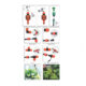 Sistem irigatii prin picurare, 64 piese, GardenLine - imagine 2
