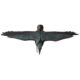 Decoratiune gradina, plastic, corb zburator, 80x45x11 cm - imagine 3