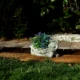 Decoratiune gradina, ceramica, broasca cu ghiveci, 35x16x17 cm - imagine 7