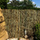 Gard/paravan din trestie, 5x1.5 m - imagine 9