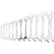 Set chei fixe scurte, sertar TIP A (385x150 mm) pentru dulap mobil, 6-32 mm, 12 buc, RICHMANN EXCLUSIVE - imagine 3