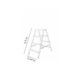 Scara aluminiu, 2 tronsoane, 3 trepte, platforma, max 125 kg, 0.9 m, Drabest - imagine 3