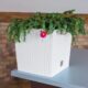 Ghiveci de flori, Prosperplast, Rato Low, patrat, 6.8 L, imitatie ratan, alb, 20x20x20.2 cm - imagine 3