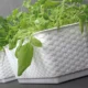 Jardiniera decorativa, Prosperplast, imitatie ratan, alba, 49.2x17.2x17.4 cm - imagine 4