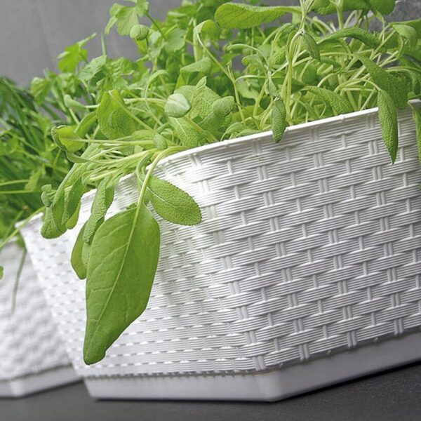 Jardiniera decorativa, Prosperplast, imitatie ratan, alba, 49.2x17.2x17.4 cm - imagine 3
