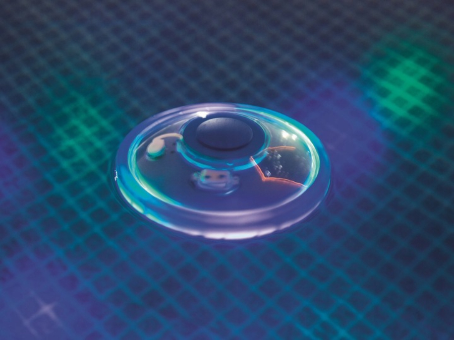 Fantana arteziana de piscina sau iaz Bestway iluminare LED Multicolor Acumulator 2 tipuri de jet de apa 1 13