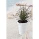 Ghiveci decorativ de flori, rotund, alb, 34.5x38.5 cm, Sand - imagine 5