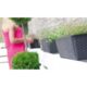 Jardiniera decorativa, antracit, 68.5x17.3x15 cm, Ratolla Case P  - imagine 2