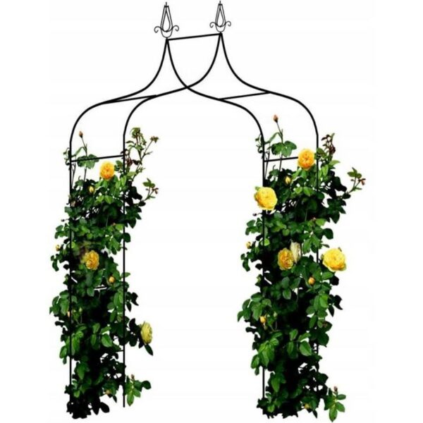 Arcada metalica, pergola, pentru gradina, ascutita, 150x37x240 cm - imagine 3