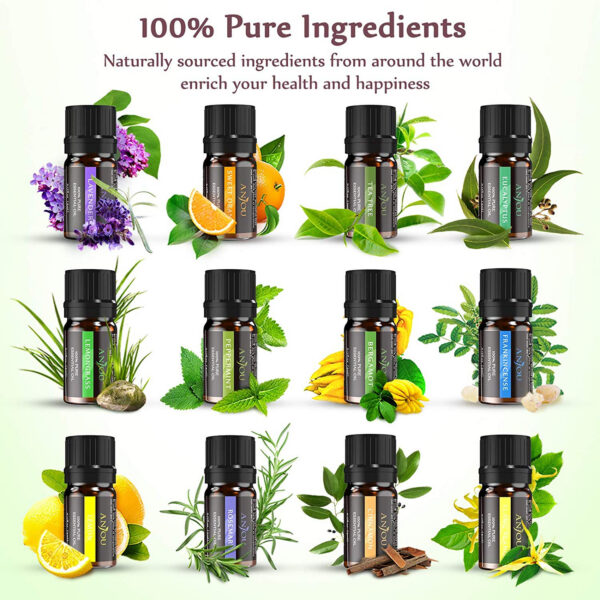 Set 12 uleiuri esentiale Anjou 12 x 5 ml puritate 100% - imagine 3