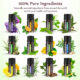 Set 12 uleiuri esentiale Anjou 12 x 5 ml puritate 100% - imagine 3