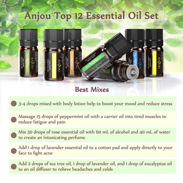 Set 12 uleiuri esentiale Anjou 12 x 5 ml puritate 100% - imagine 6