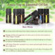 Set 12 uleiuri esentiale Anjou 12 x 5 ml puritate 100% - imagine 6