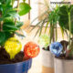 Set 4 buc Irigator automat ceramic glob de sticla pentru ghivece cu flori Ballwooters Innovagoods - imagine 3