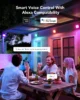 Set 4 proiectoare Govee H7060 RGBICWW LED, Alexa, Google, 24W, Sincronizare muzica, Exterior IP65 waterproof - imagine 17