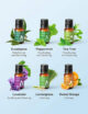 Set 6 uleiuri esentiale Anjou 6 x 10 ml puritate 100% - imagine 4