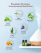 Set 6 uleiuri esentiale Anjou 6 x 10 ml puritate 100% - imagine 6