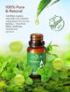 Set 6 uleiuri esentiale Anjou 6 x 10 ml puritate 100% - imagine 9