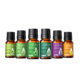 Set 6 uleiuri esentiale Anjou 6 x 10 ml puritate 100% - imagine 2