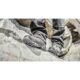 Pantofi de lucru din piele de caprioara, S1P, SRA, marimea 44, NEO - imagine 4