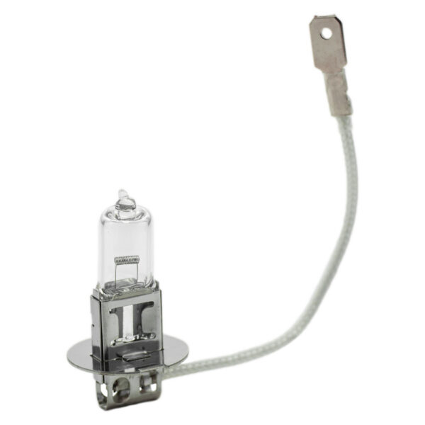 Bec halogen H3 12V 55W, +30% intensitate, set 10 buc, Carguard - imagine 2