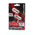 Set 2 becuri auto R5W 12V 5W, Carguard