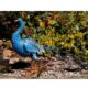 Decoratiune gradina, metalica, paun albastru, 23x70x46 cm - imagine 5