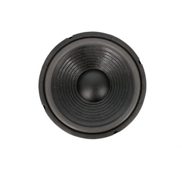 Difuzor HI-FI Home Carguard 10", 120/240 W, 8 Ohm, 37.5 Hz - 4.5 kHz - imagine 2