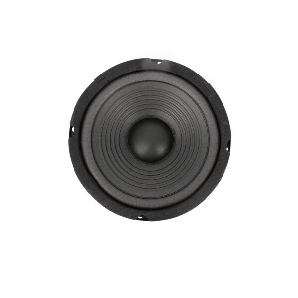 Difuzor HI-FI Home Carguard 6.5", 90/160 W, 8 Ohm, 55 Hz - 5 kHz - imagine 2