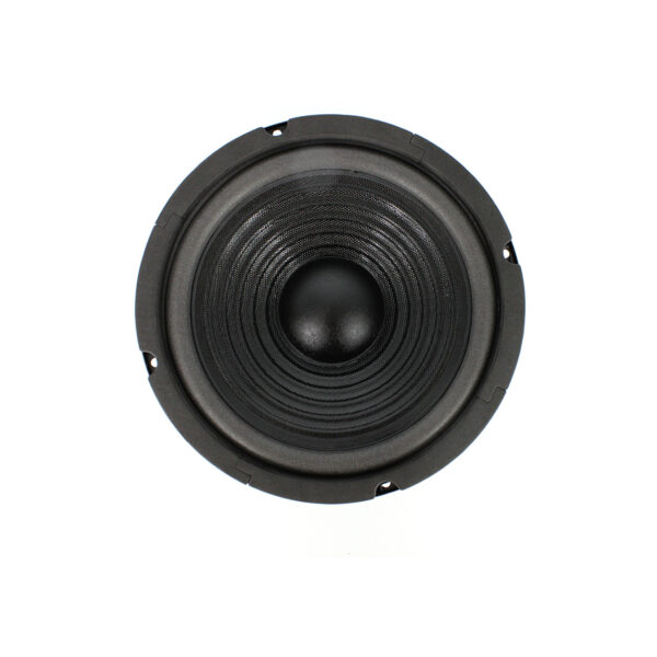 Difuzor HI-FI Home Carguard 8", 100/200 W, 8 Ohm, 37 Hz - 4.5 kHz - imagine 2