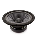 Difuzor HI-FI Home Carguard 8", 100/200 W, 8 Ohm, 37 Hz - 4.5 kHz