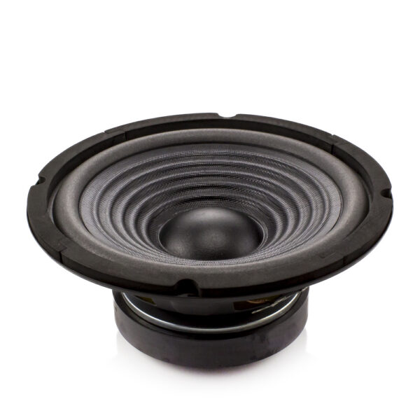 Difuzor HI-FI Home Carguard 8", 100/200 W, 8 Ohm, 37 Hz - 4.5 kHz - imagine 1
